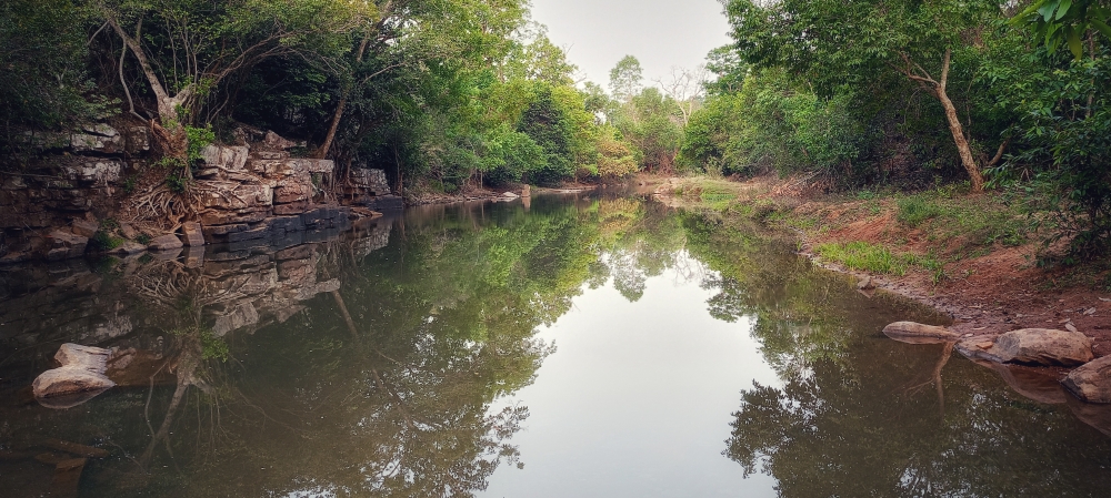 Reflections view kanger river 3, nature landscape background sunrays hdclicks nikongair lake reflection photos Bastar chhatishgarh sky clouds photooftheday naturephotography, wildlife HD wallpaper background picture wild animals Nature Photography tree spoteddave indianbird bastar munnabaghelphotography potooftheday Dave nationalpark kvnp forest jungle kangervalleynationalpark jagdalpur awesome birdphotography photosofbird nature gochhatishgarh chhatishgarh photo, summer tirathgarh waterfall waterfalls indianwaterfall  nationalpark kangervalleynationalpark Raipur CG forest HD wallpaper view kangervalley tirathgarh waterfall waterfalls jungle Bastar Chhattisgarh photosoftheday photo gallery wallpaper view kangervalley instapicture instagood viralpic, #nature #photography #love #instagood #photooftheday #travel #sky #beautiful #art #naturephotography #like #landscape #sunset #photo #picoftheday #instagram #sun #beach #life #winter #sea #fun #cute #clouds #happy #naturelovers #summer #bhfyp, 