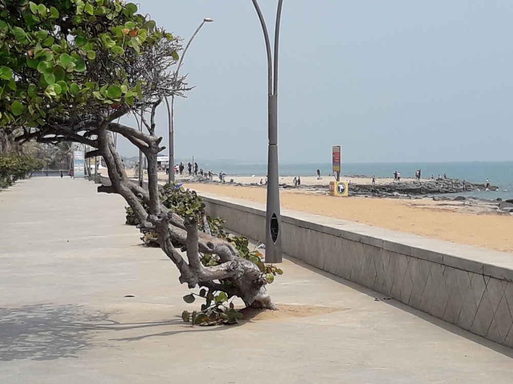 Sea Beach and road , #flower #rose #natural #beautiful #water_drop  #mobile_photography, 