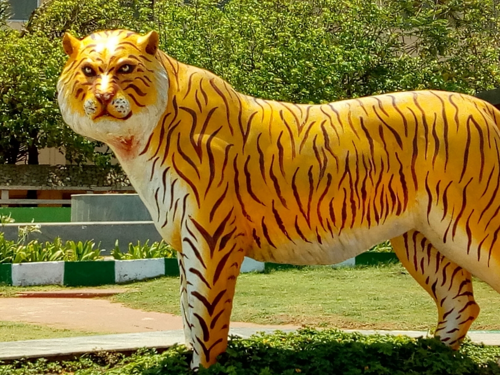 LUKS LIKE REAL TIGER ., TIGER.