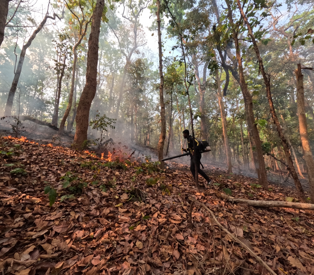 Forest fire , #nature #wallpaper #HD #stock #landscapes# stone#reflection#wild #forest #nationalpark, 