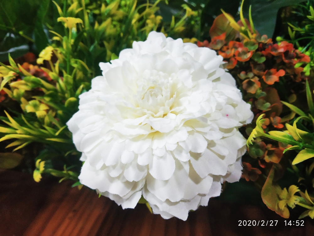 Flower, Flower, 