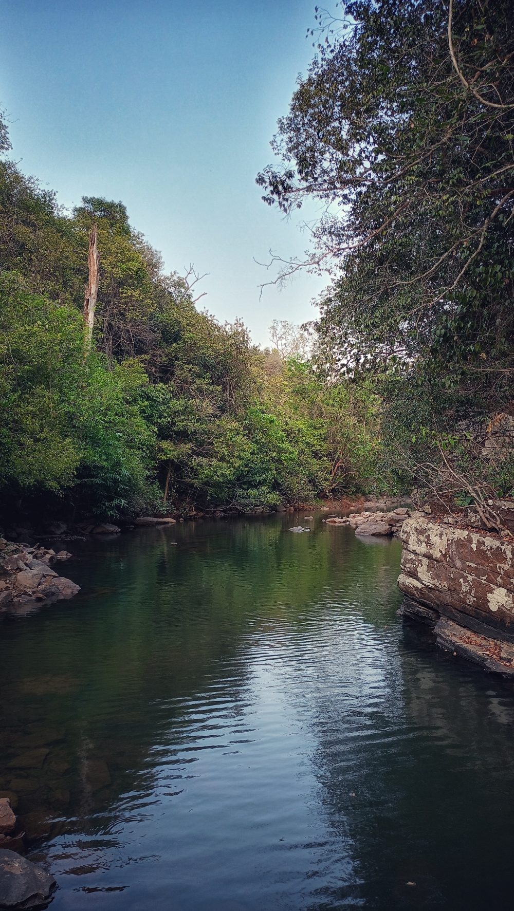 Nadi side 1, #nature #photography #love #instagood #photooftheday #travel #sky #beautiful #art #naturephotography #like #landscape #sunset #photo #picoftheday #instagram #sun #beach #life #winter #sea #fun #cute #clouds #happy #naturelovers #summer #bhfyp, nature landscape background sunrays hdclicks nikongair lake reflection photos Bastar chhatishgarh sky clouds photooftheday naturephotography, wildlife HD wallpaper background picture wild animals Nature Photography tree spoteddave indianbird bastar munnabaghelphotography potooftheday Dave nationalpark kvnp forest jungle kangervalleynationalpark jagdalpur awesome birdphotography photosofbird nature gochhatishgarh chhatishgarh photo, Julnadharawaterfall nature nationalpark kangervalleynationalpark jagdalpur bastar chhatishgarh forest wild stone coluds river kundaruriver tirathgarh discover explore munnabaghelphotograpy kangerghatinationalparkjagdalpur  landscapephotograpy landscape naturephotograpy, 