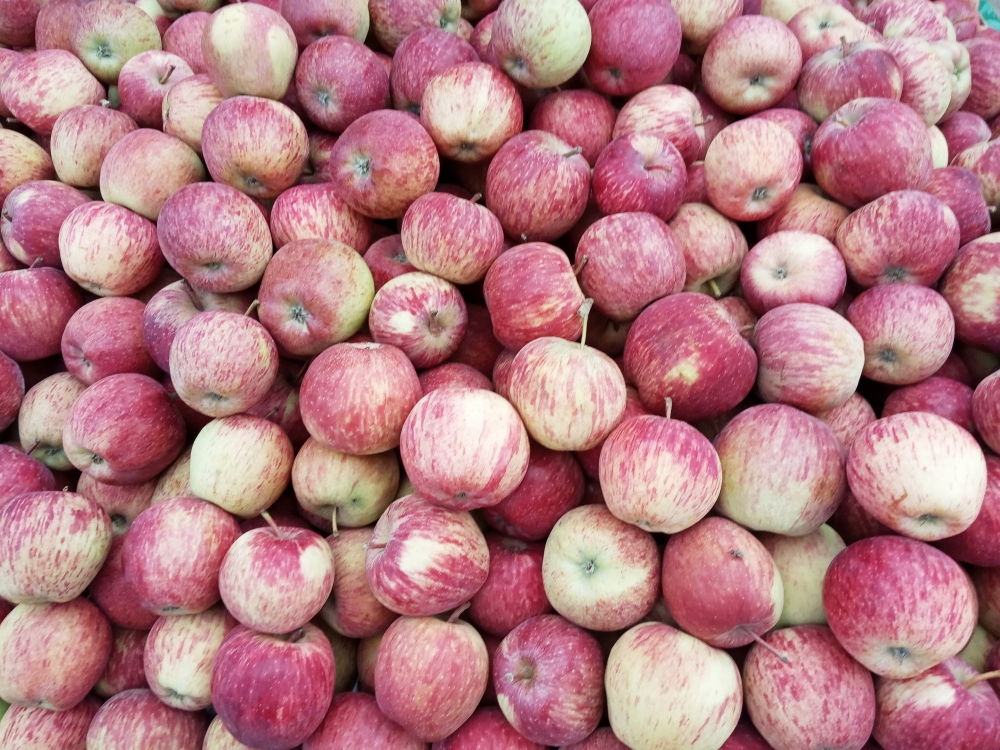 Apples, Apples, pink, green, kashmir, delicious