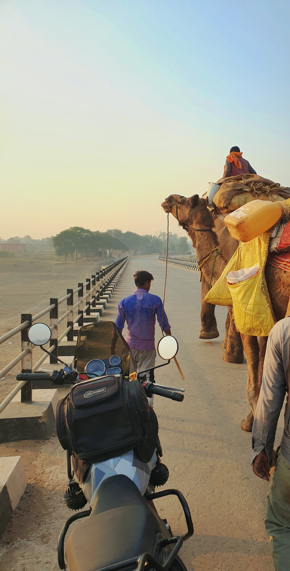 Two modes of Ride , Chhattisgarh, camel, Royal enfield himalayan 