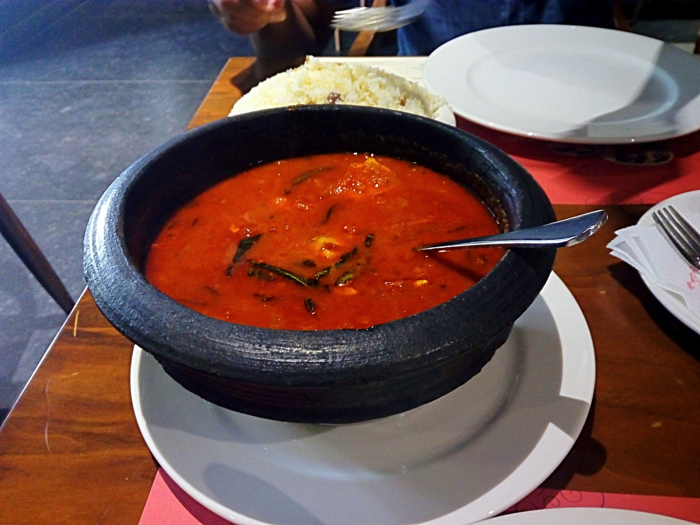 Food, #squirrel #animal #eat #food #tree #animal #mumbai #maharashtra, 