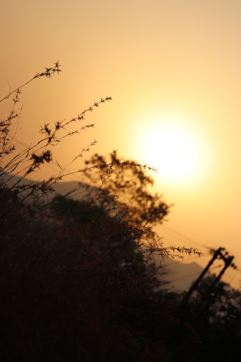 sunset time, #Nature #background #wallpaper #hdclicks #fullHD