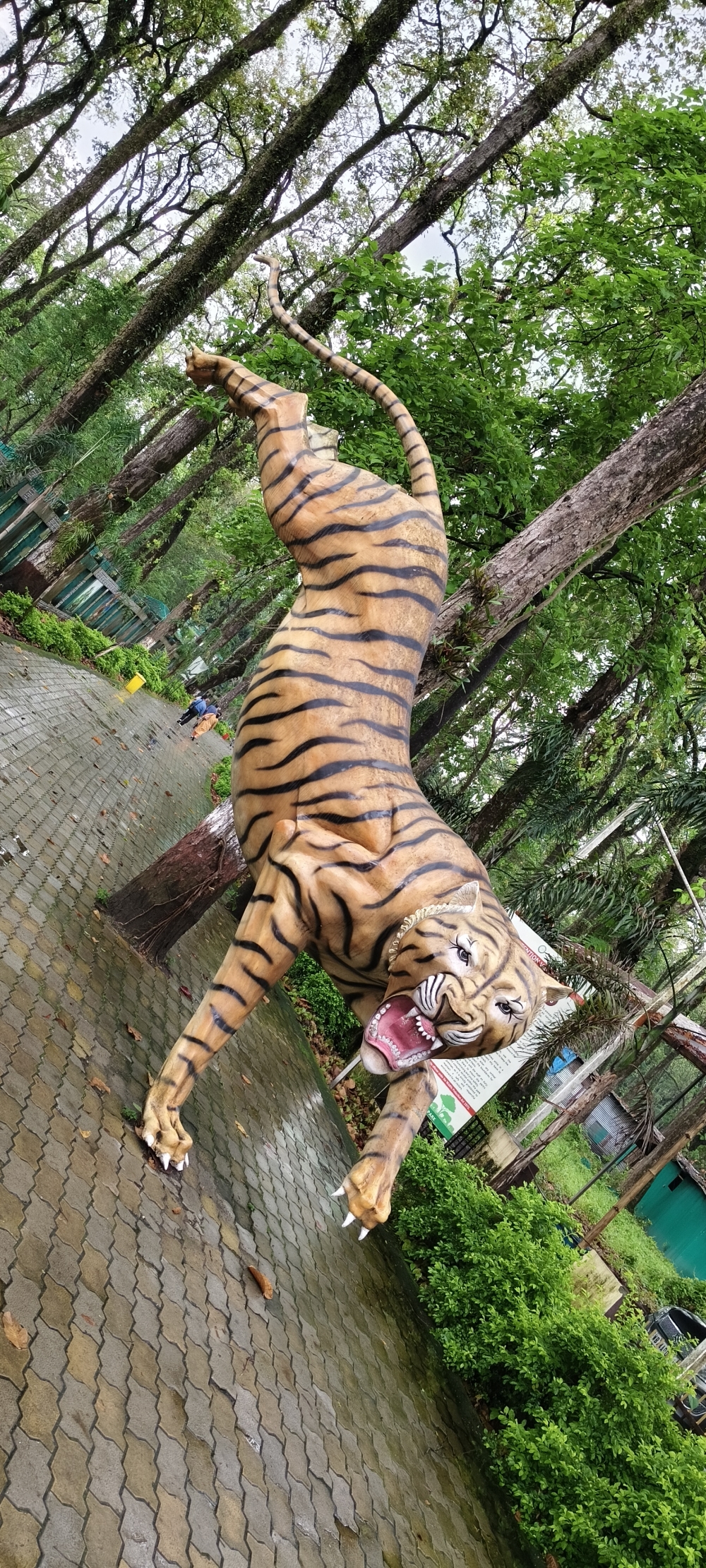 Royal Bengal tiger, Animals