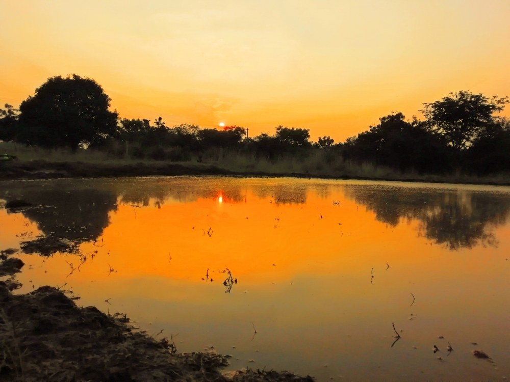 Sunset , Nature, Pgclik,