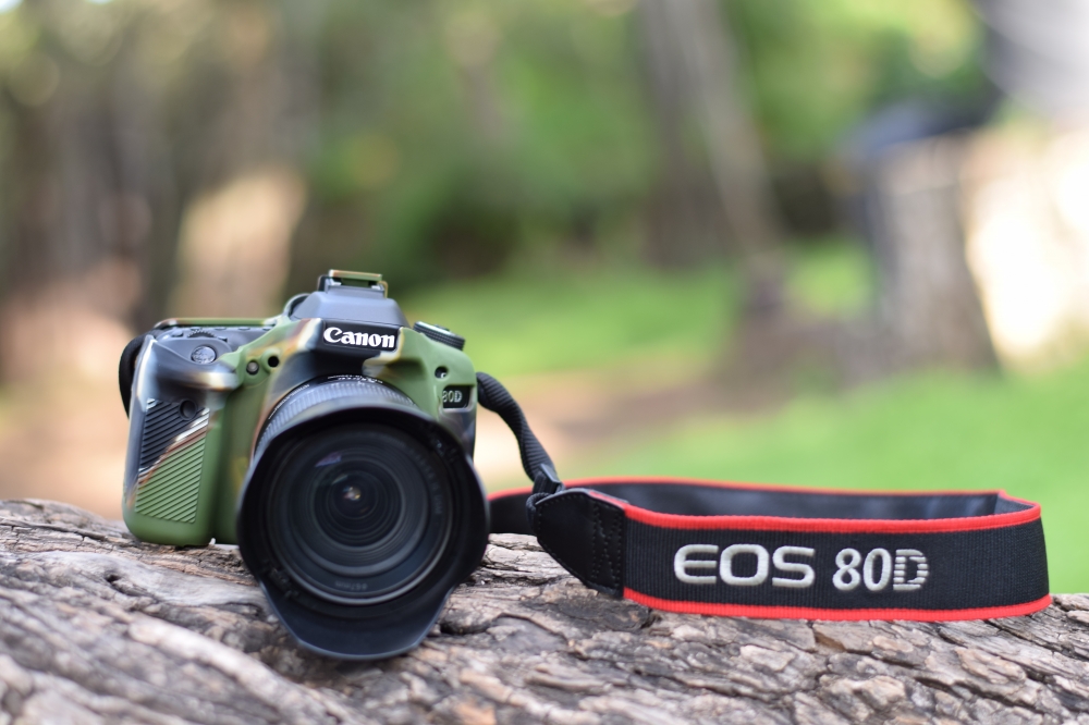 canon D80,  #insect #photography #nikon, Nikon D5600, nikonD5300N=, #Nature #background #wallpaper #hdclicks #fullHD#fksayyad @f.k.sayyad, 