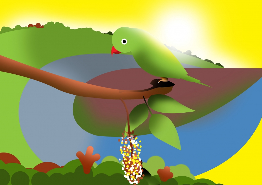 illustration art work parrot  , illustrations,parrots,birds,bird,parrot, illustration art  work parrot, illustration, art work, art, drawing, digital drawing, 