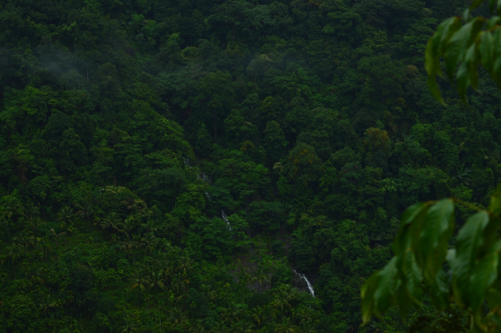 Waterfall , Nature, natural, waterfalls, Trees, mountains, Green valley, 