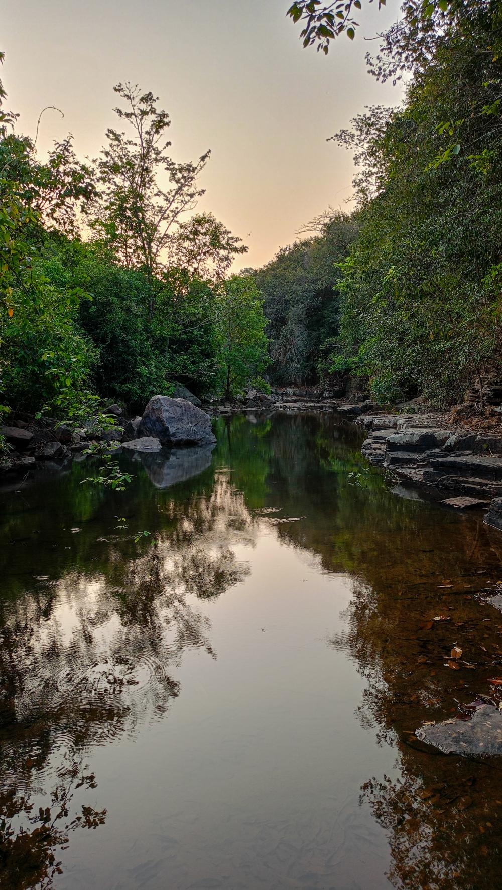 Reflections view kanger river , nature landscape background sunrays hdclicks nikongair lake reflection photos Bastar chhatishgarh sky clouds photooftheday naturephotography, wildlife HD wallpaper background picture wild animals Nature Photography tree spoteddave indianbird bastar munnabaghelphotography potooftheday Dave nationalpark kvnp forest jungle kangervalleynationalpark jagdalpur awesome birdphotography photosofbird nature gochhatishgarh chhatishgarh photo, summer tirathgarh waterfall waterfalls indianwaterfall  nationalpark kangervalleynationalpark Raipur CG forest HD wallpaper view kangervalley tirathgarh waterfall waterfalls jungle Bastar Chhattisgarh photosoftheday photo gallery wallpaper view kangervalley instapicture instagood viralpic, #nature #photography #love #instagood #photooftheday #travel #sky #beautiful #art #naturephotography #like #landscape #sunset #photo #picoftheday #instagram #sun #beach #life #winter #sea #fun #cute #clouds #happy #naturelovers #summer #bhfyp, 