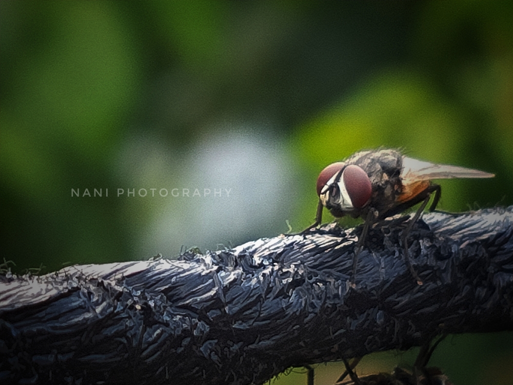 passion, #nature #photography #love #instagood #photooftheday #travel #sky #beautiful #art #naturephotography #like #landscape #sunset #photo #picoftheday #instagram #sun #beach #life #winter #sea #fun #cute #clouds #happy #naturelovers #summer #bhfyp, 