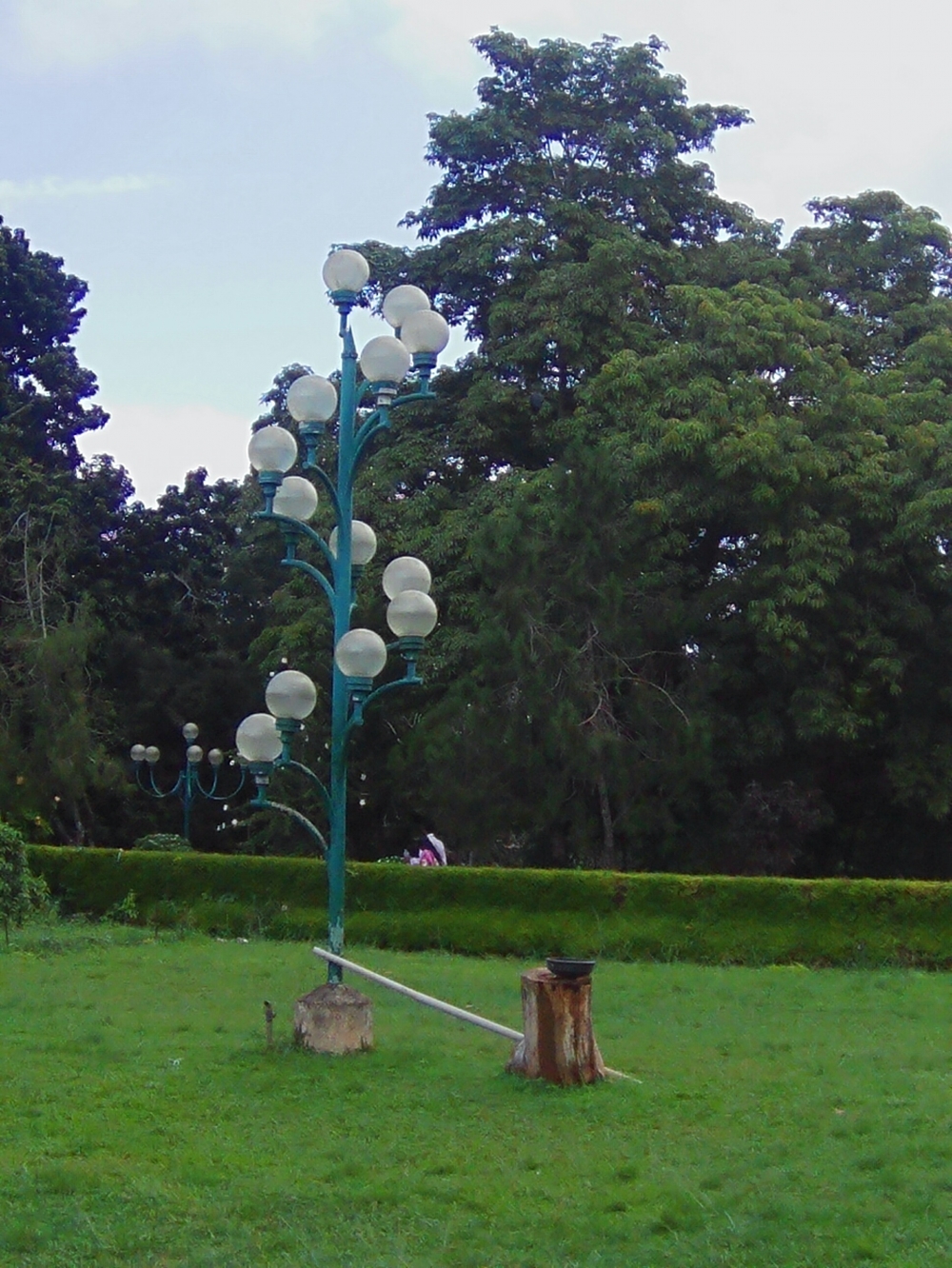 Green world, #nature #photography #love #instagood #photooftheday #travel #sky #beautiful #art #naturephotography #like #landscape #sunset #photo #picoftheday #instagram #sun #beach #life #winter #sea #fun #cute #clouds #happy #naturelovers #summer #bhfyp, #garden #flower #landscape, #nature #wallpaper #HD #stock #landscapes# stone#reflection#wild #forest #nationalpark, #Cannaughtplace, 