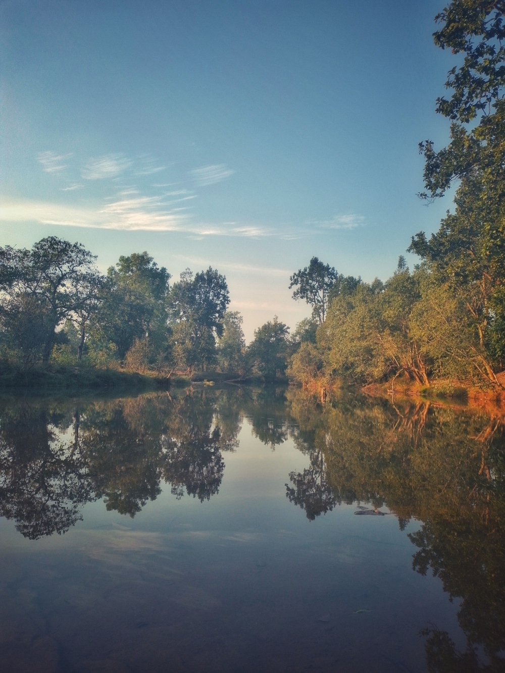 Munga bahar river , #nature #photography #love #instagood #photooftheday #travel #sky #beautiful #art #naturephotography #like #landscape #sunset #photo #picoftheday #instagram #sun #beach #life #winter #sea #fun #cute #clouds #happy #naturelovers #summer #bhfyp, tirathgarh tirathgarhwaterfall waterfall view of the day Wildlife Forest Hills Wildlife bastar jagdalpur Chhattisgarh India Raipur CG Wild flowers hdclicks wallpaper beautiful evening view kangervalleynationalpark kanger dhara waterfall viewofthenature, 