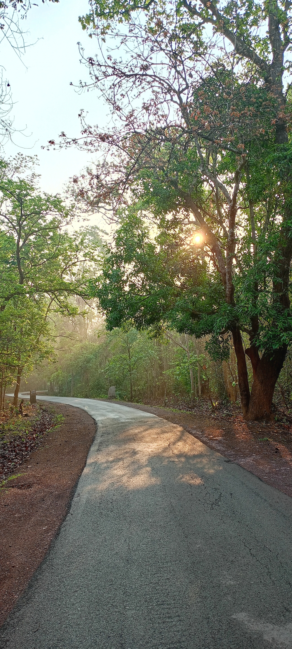 Beautiful morning view of Kanger 3 Ghati forest, nature landscape background hdclicks fishing wallpaper people stock Fisherman photos photooftheday Bastar kangervalleynationalpark kvnp nationalpark naturephotography Munnabaghel_photography, wildlife HD wallpaper background picture wild animals Nature Photography tree spoteddave indianbird bastar munnabaghelphotography potooftheday Dave nationalpark kvnp forest jungle kangervalleynationalpark jagdalpur awesome birdphotography photosofbird nature gochhatishgarh chhatishgarh photo, summer tirathgarh waterfall waterfalls indianwaterfall  nationalpark kangervalleynationalpark Raipur CG forest HD wallpaper view kangervalley tirathgarh waterfall waterfalls jungle Bastar Chhattisgarh photosoftheday photo gallery wallpaper view kangervalley instapicture instagood viralpic, 