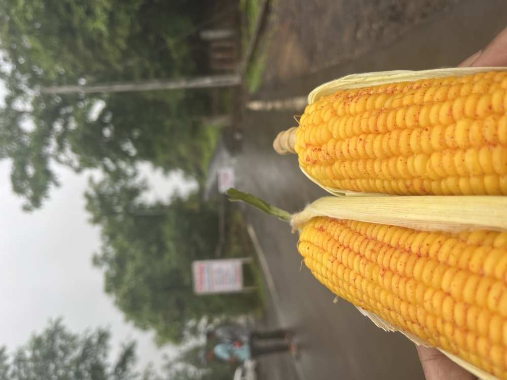 Makkai, #corn