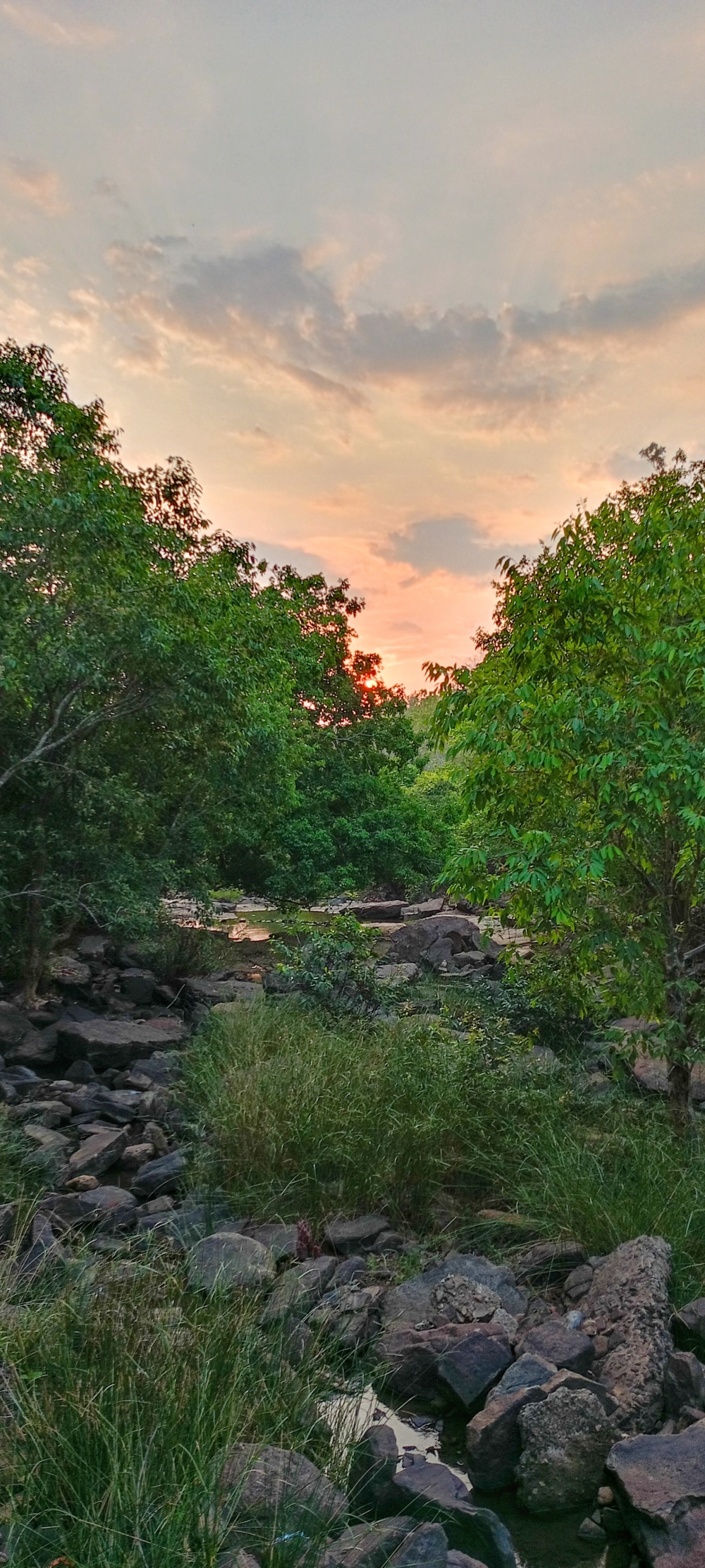 Morning rays 2, nature landscape background sunrays hdclicks nikongair lake reflection photos Bastar chhatishgarh sky clouds photooftheday naturephotography, wildlife HD wallpaper background picture wild animals Nature Photography tree spoteddave indianbird bastar munnabaghelphotography potooftheday Dave nationalpark kvnp forest jungle kangervalleynationalpark jagdalpur awesome birdphotography photosofbird nature gochhatishgarh chhatishgarh photo, summer tirathgarh waterfall waterfalls indianwaterfall  nationalpark kangervalleynationalpark Raipur CG forest HD wallpaper view kangervalley tirathgarh waterfall waterfalls jungle Bastar Chhattisgarh photosoftheday photo gallery wallpaper view kangervalley instapicture instagood viralpic, #nature #photography #love #instagood #photooftheday #travel #sky #beautiful #art #naturephotography #like #landscape #sunset #photo #picoftheday #instagram #sun #beach #life #winter #sea #fun #cute #clouds #happy #naturelovers #summer #bhfyp, 