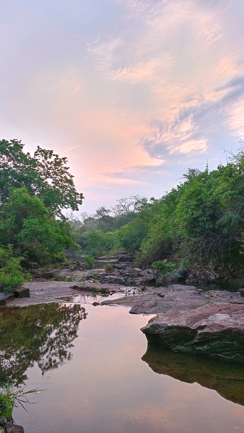 Nature view , nature landscape background sunrays hdclicks nikongair lake reflection photos Bastar chhatishgarh sky clouds photooftheday naturephotography, wildlife HD wallpaper background picture wild animals Nature Photography tree spoteddave indianbird bastar munnabaghelphotography potooftheday Dave nationalpark kvnp forest jungle kangervalleynationalpark jagdalpur awesome birdphotography photosofbird nature gochhatishgarh chhatishgarh photo, summer tirathgarh waterfall waterfalls indianwaterfall  nationalpark kangervalleynationalpark Raipur CG forest HD wallpaper view kangervalley tirathgarh waterfall waterfalls jungle Bastar Chhattisgarh photosoftheday photo gallery wallpaper view kangervalley instapicture instagood viralpic, #nature #photography #love #instagood #photooftheday #travel #sky #beautiful #art #naturephotography #like #landscape #sunset #photo #picoftheday #instagram #sun #beach #life #winter #sea #fun #cute #clouds #happy #naturelovers #summer #bhfyp, 
