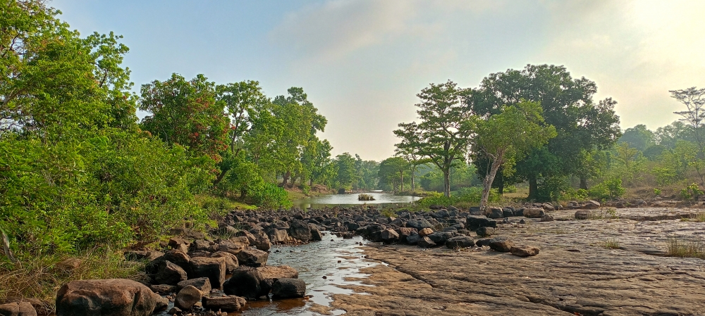 Munga bahar river , #nature #photography #love #instagood #photooftheday #travel #sky #beautiful #art #naturephotography #like #landscape #sunset #photo #picoftheday #instagram #sun #beach #life #winter #sea #fun #cute #clouds #happy #naturelovers #summer #bhfyp, river  munghabaharrivar nature, summer tirathgarh waterfall waterfalls indianwaterfall  nationalpark kangervalleynationalpark Raipur CG forest HD wallpaper view kangervalley tirathgarh waterfall waterfalls jungle Bastar Chhattisgarh photosoftheday photo gallery wallpaper view kangervalley instapicture instagood viralpic, 