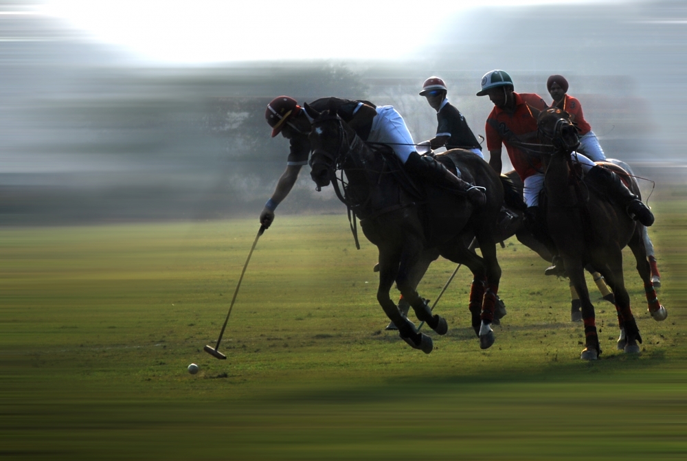 Adventure, eqestrian,polo,polo game, horses, dare devilery, horsemanship,sports, adventure sports