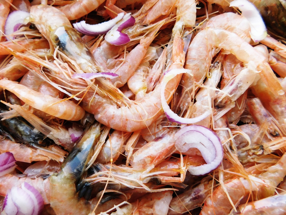 Shrimp, fresh, food, cuisine, shrimp, spicy, homemade, parsley, gourmet, appetizer, wooden, healthy, background, dish, meal, prawns, dinner, prawn, seafood, grilled, vegetable, tomato, plate, lunch, no people, shrimp kebab, barbecue grill, kebab, roasted, prepared tiger prawn, prawn - seafood