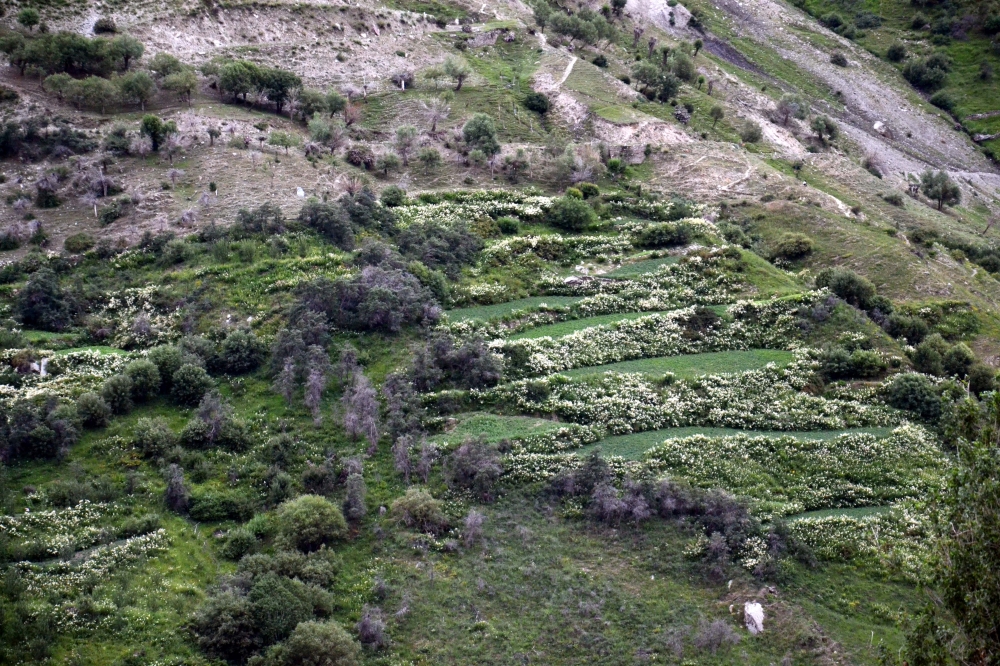 nature is natural, #nature#landscape