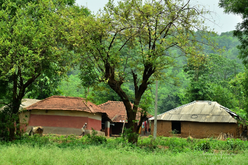Village, #nature #photography #love #instagood #photooftheday #travel #sky #beautiful #art #naturephotography #like #landscape #sunset #photo #picoftheday #instagram #sun #beach #life #winter #sea #fun #cute #clouds #happy #naturelovers #summer #bhfyp, 