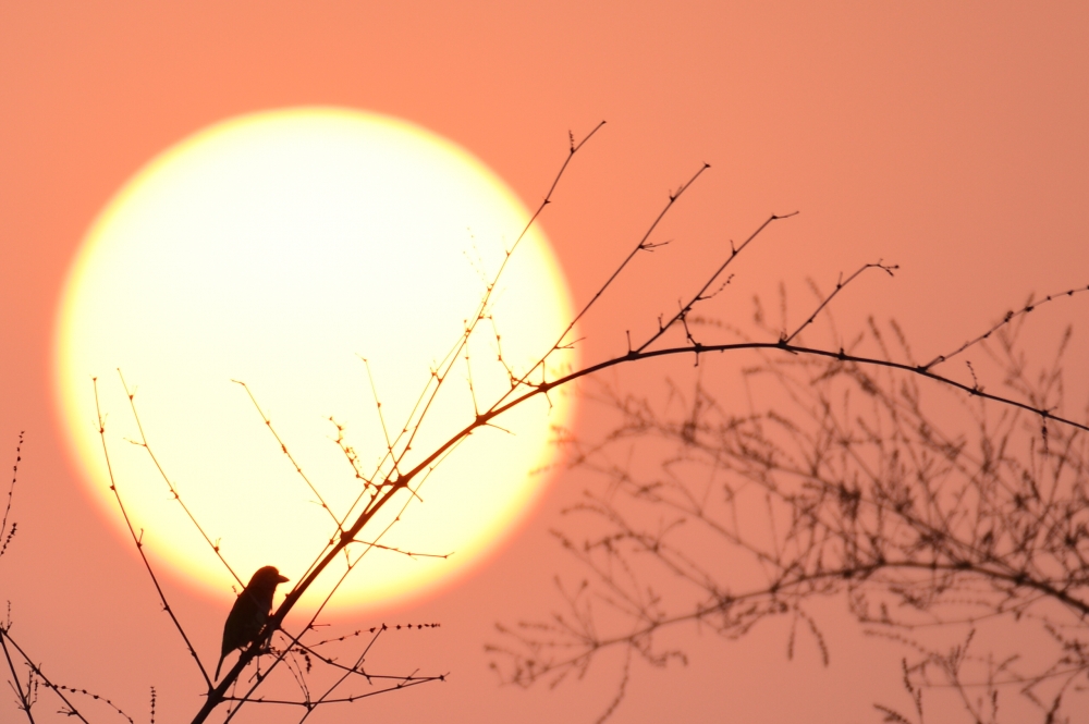 WINK, Woman#morning#outdoor#, 