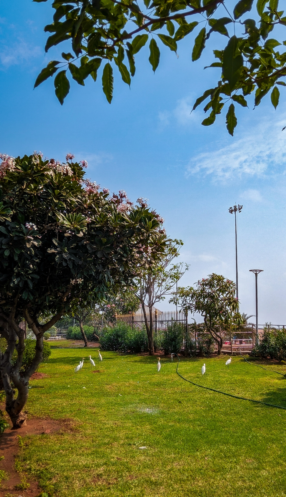 Landscape Capture at the road side of Marina Beach, Chennai, #nature #photography #love #instagood #photooftheday #travel #sky #beautiful #art #naturephotography #like #landscape #sunset #photo #picoftheday #instagram #sun #beach #life #winter #sea #fun #cute #clouds #happy #naturelovers #summer #bhfyp, #Nature #background #wallpaper #hdclicks #fullHD @sundar, #Nature #background #wallpaper #hdclicks #fullHD @sundar, #beautiful #water_drop  #mobile_photography, 