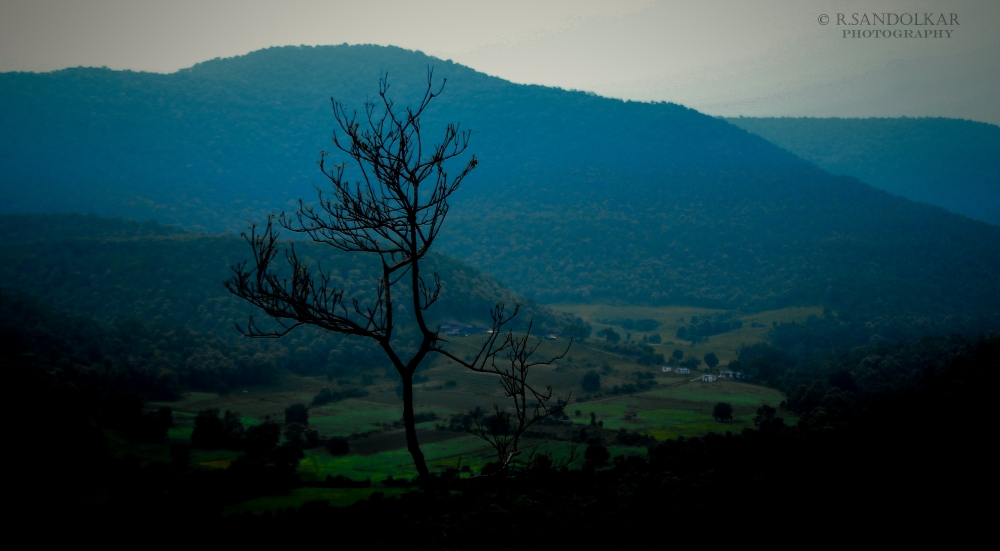 nature, #Nature #background #wallpaper #hdclicks #fullHD#fksayyad @f.k.sayyad, 