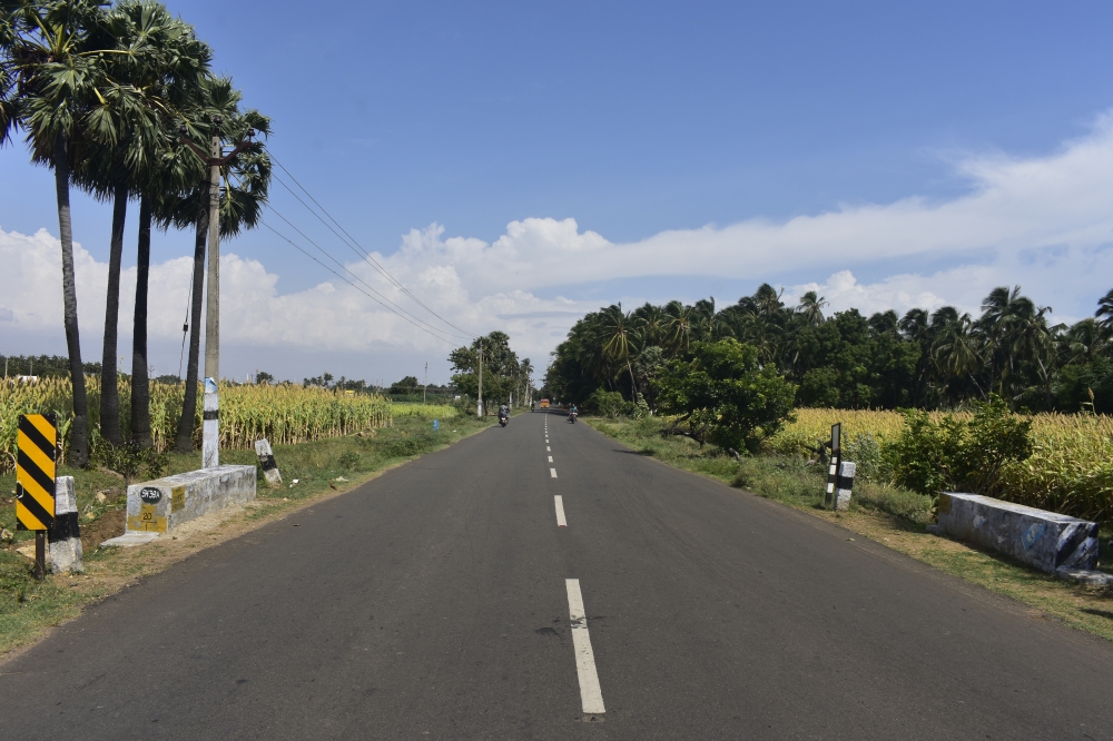 Beautiful Road in Tamilnadu, Road, landscape, Nature, trees, Trees, Save nature save trees.,beautiful,photography,tamilnadu,thenkasi,rural,pgclick,