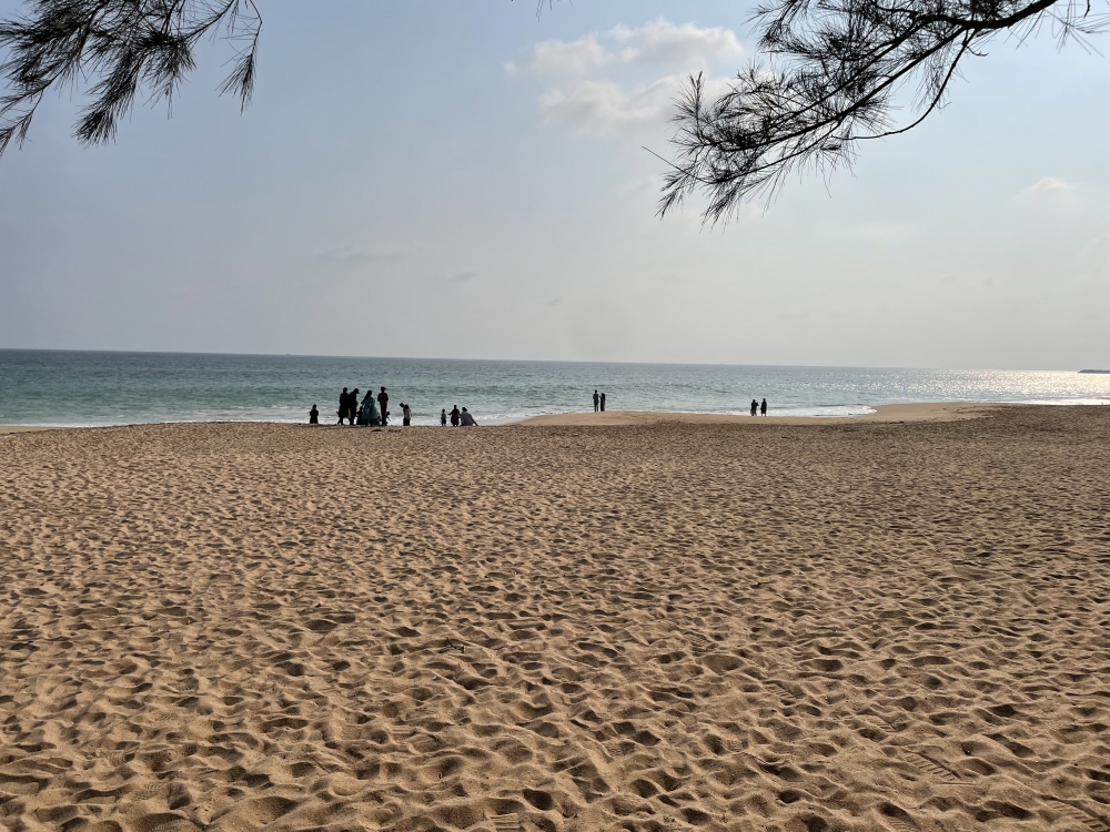 Beach, Seashore, #seabeach #sandstorm #conch, 