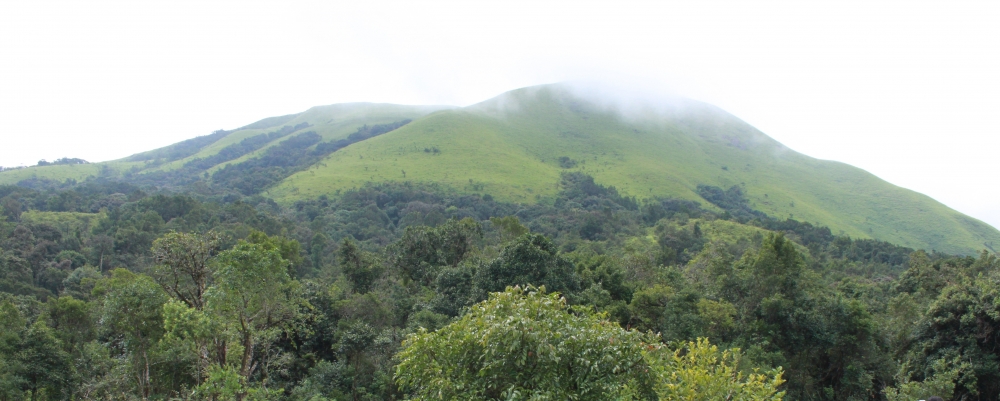 Natural landscape, Beautiful
