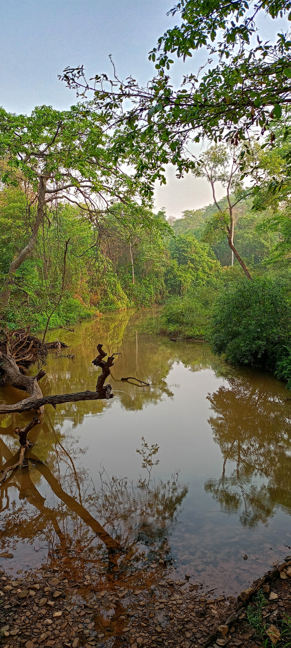 River side , nature landscape background hdclicks fishing wallpaper people stock Fisherman photooftheday Bastar kangervalleynationalpark kvnp nationalpark naturephotography Munnabaghel_photography, summer tirathgarh waterfall waterfalls indianwaterfall  nationalpark kangervalleynationalpark Raipur CG forest HD wallpaper view kangervalley tirathgarh waterfall waterfalls jungle Bastar Chhattisgarh photosoftheday photo gallery wallpaper view kangervalley instapicture instagood viralpic, #Nature #vwphotography, 