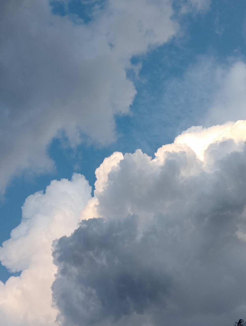 Sky, #nature #photography #love #instagood #photooftheday #travel #sky #beautiful #art #naturephotography #like #landscape #sunset #photo #picoftheday #instagram #sun #beach #life #winter #sea #fun #cute #clouds #happy #naturelovers #summer #bhfyp, 