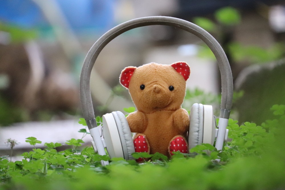 Peace of mind, #teddy #pgclick #creative #music