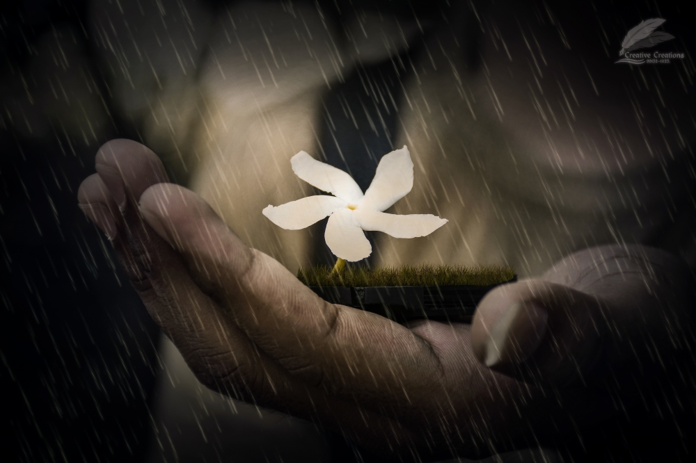 Love flowers, #Flowers #Emptytree #ToughSun, 