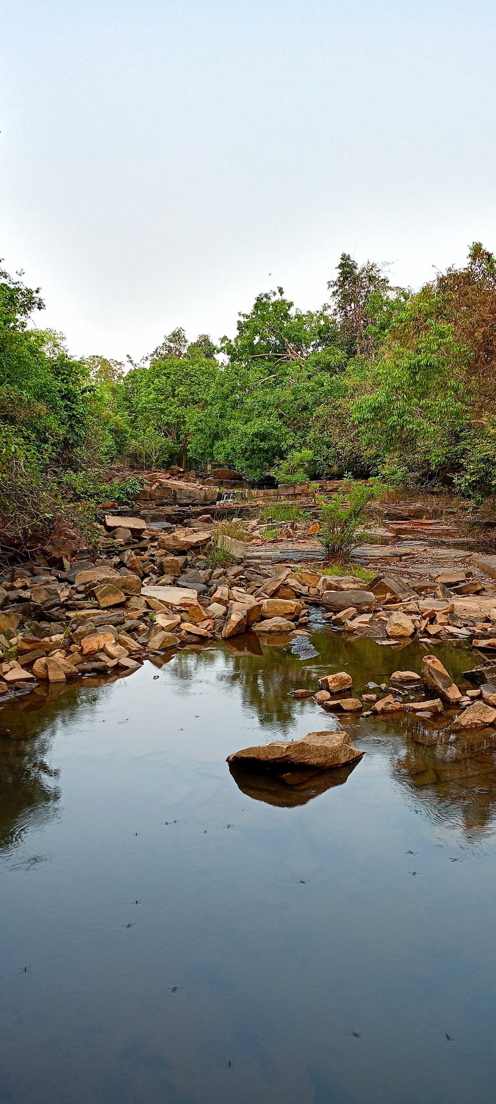 Beautiful panoramic reflection view of Kundru Jodi in summer season, nature landscape background sunrays hdclicks nikongair lake reflection photos Bastar chhatishgarh sky clouds photooftheday naturephotography, wildlife HD wallpaper background picture wild animals Nature Photography tree spoteddave indianbird bastar munnabaghelphotography potooftheday Dave nationalpark kvnp forest jungle kangervalleynationalpark jagdalpur awesome birdphotography photosofbird nature gochhatishgarh chhatishgarh photo, summer tirathgarh waterfall waterfalls indianwaterfall  nationalpark kangervalleynationalpark Raipur CG forest HD wallpaper view kangervalley tirathgarh waterfall waterfalls jungle Bastar Chhattisgarh photosoftheday photo gallery wallpaper view kangervalley instapicture instagood viralpic, #nature #photography #love #instagood #photooftheday #travel #sky #beautiful #art #naturephotography #like #landscape #sunset #photo #picoftheday #instagram #sun #beach #life #winter #sea #fun #cute #clouds #happy #naturelovers #summer #bhfyp, 