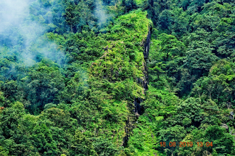 Mountain,free,green nature,mist, mountains, Green, greenery, greens, morning, mist, wallpaper, landscape, green world