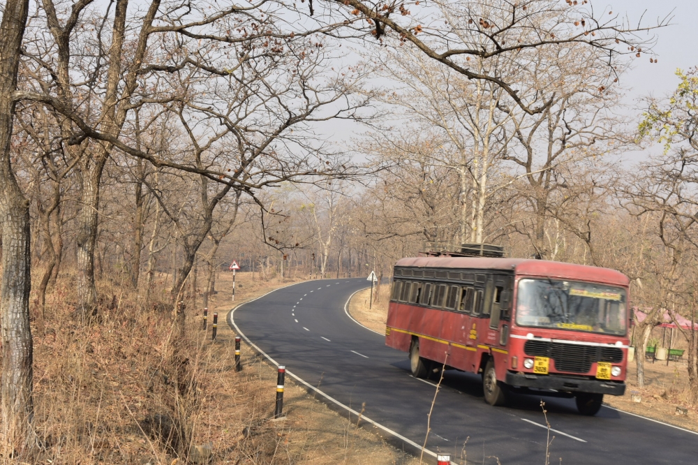 Bus in Beautiful road, Bus, transport, state service, Maharashtra, Mumbai, murbad, malshejghat, beautiful nature,
