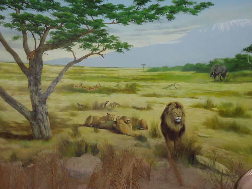 jungle painting, Art/painting
