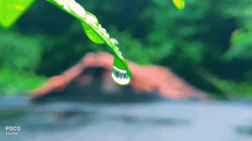 crustal clear drop , water,green,drop,leaf,