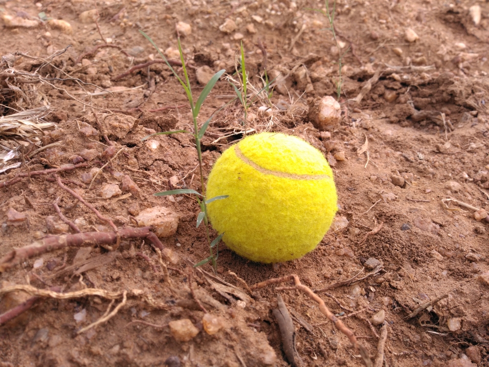 Ball, Sports, Cricket, Village cricket, #Nature #background #wallpaper #hdclicks #fullHD#fksayyad @f.k.sayyad, 