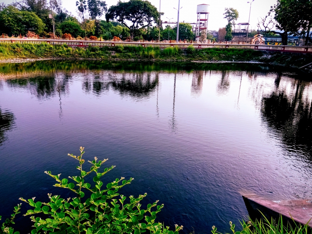 Pond, Water, morning, outdoor,mobile photography,silent, emotion