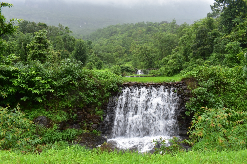Waterfall in Malshej Ghat Maharashtra, waterfall, nature, beautiful, landscape, ghats, malshejgaht, mumai, india, maharashtra, Green Field, 