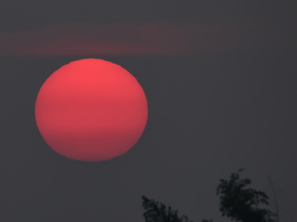 sun, Sunset, Emotion, Portrait, Instagood ,Fisherman ,Red Sun, Nature, Insta Good ,Sunset ,Bride ,Redlight ,Architecture, Shadow, Image ,Kangervally,nationalpark ,Wedding ,Clove, Like ,Naturalbeauty,Place ,Gardenlizard ,Evening ,FullHD ,Just One Click, Bastar,Artist, Coconut, Cocunut Tree, Winter ,Sunny ,Chameleon ,Wildlife HD Wallpaper ,Background Picture ,Wild Animals ,Nature Photography, Picoftheday,Three Some, Beautiful ,Nature lovers, City ,Waterfall, Fun,People ,Street ,Nature photography ,Lizard ,Red, Black, Indian, Lizards ,Black, Background ,Flower ,Vector ,Red ,