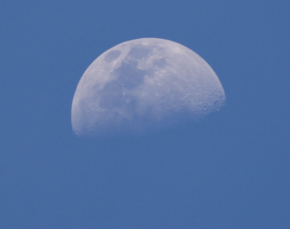 Evening Blue Sky Moon, moon,சந்திரன், bluemoon