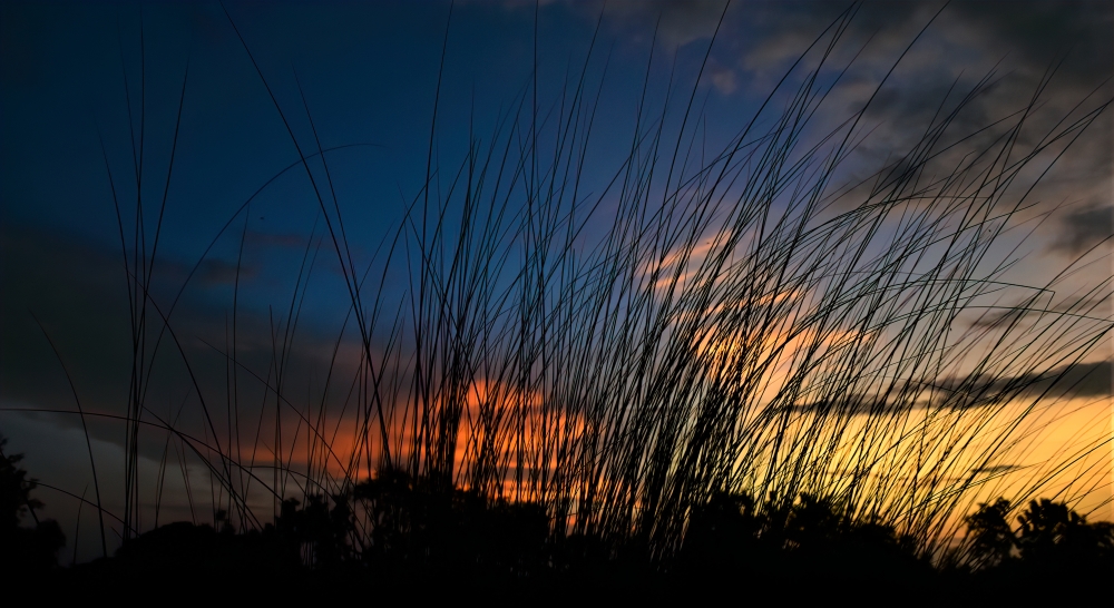 magic, BOKEH , BEAUTY , STREET , LIGHTS, Sunset, art, glamour, Fashion, nature ,photography ,love ,instagood ,photo of theday ,travel ,sky ,beautiful ,art ,nature photography ,like ,landscape ,sunset ,photo,pic of the day ,instagram ,sun ,beach ,life ,winter,sea ,fun ,cute ,clouds,happy ,nature lovers ,summer ,bhfyp, 