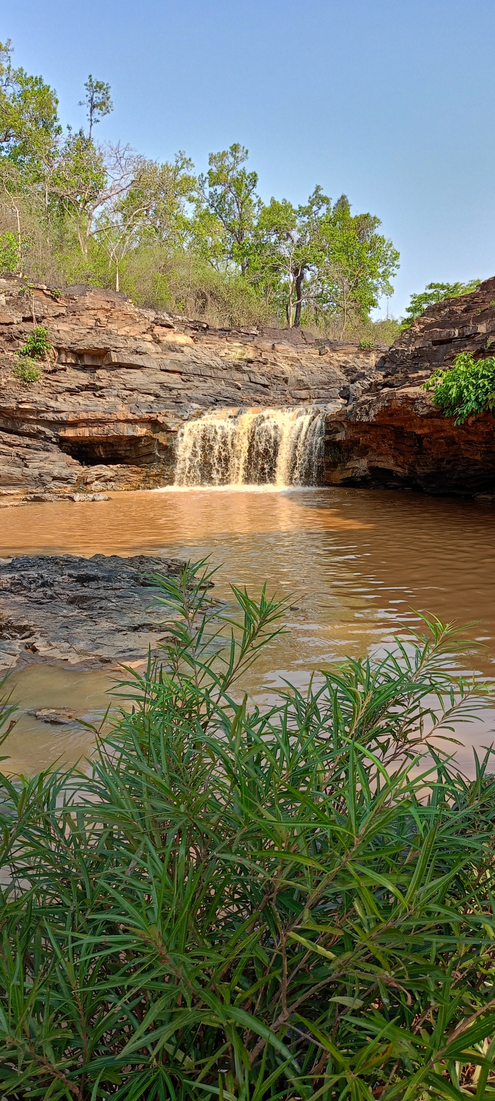 Kanger dhara waterfall , #nature #photography #love #instagood #photooftheday #travel #sky #beautiful #art #naturephotography #like #landscape #sunset #photo #picoftheday #instagram #sun #beach #life #winter #sea #fun #cute #clouds #happy #naturelovers #summer #bhfyp, nature landscape background sunrays hdclicks nikongair lake reflection photos Bastar chhatishgarh sky clouds photooftheday naturephotography, wildlife HD wallpaper background picture wild animals Nature Photography tree spoteddave indianbird bastar munnabaghelphotography potooftheday Dave nationalpark kvnp forest jungle kangervalleynationalpark jagdalpur awesome birdphotography photosofbird nature gochhatishgarh chhatishgarh photo, summer tirathgarh waterfall waterfalls indianwaterfall  nationalpark kangervalleynationalpark Raipur CG forest HD wallpaper view kangervalley tirathgarh waterfall waterfalls jungle Bastar Chhattisgarh photosoftheday photo gallery wallpaper view kangervalley instapicture instagood viralpic, 